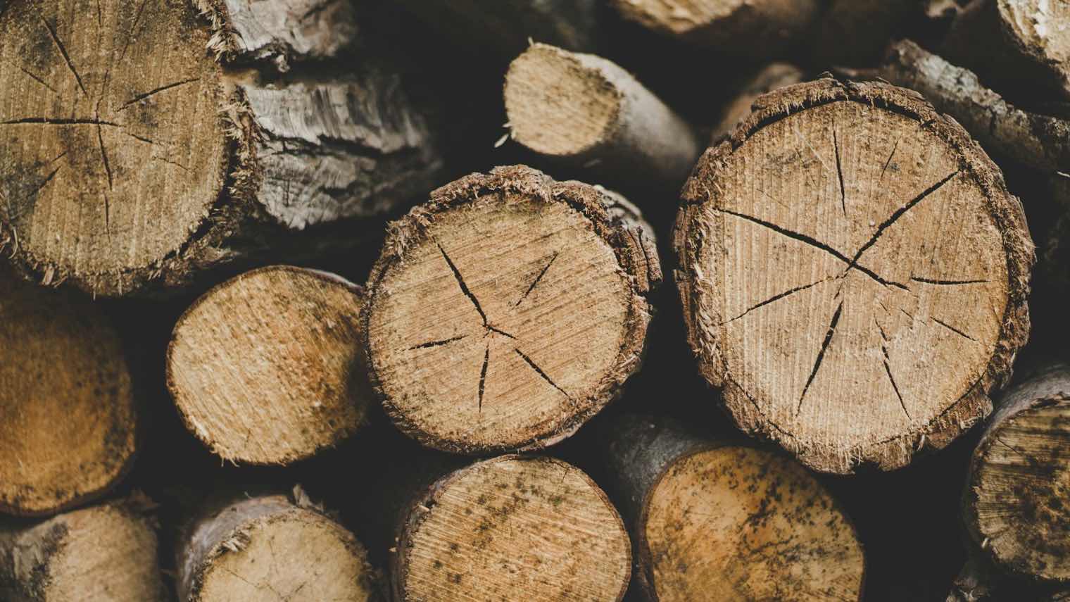 Gestapelte Holzstämme in Nahaufnahme