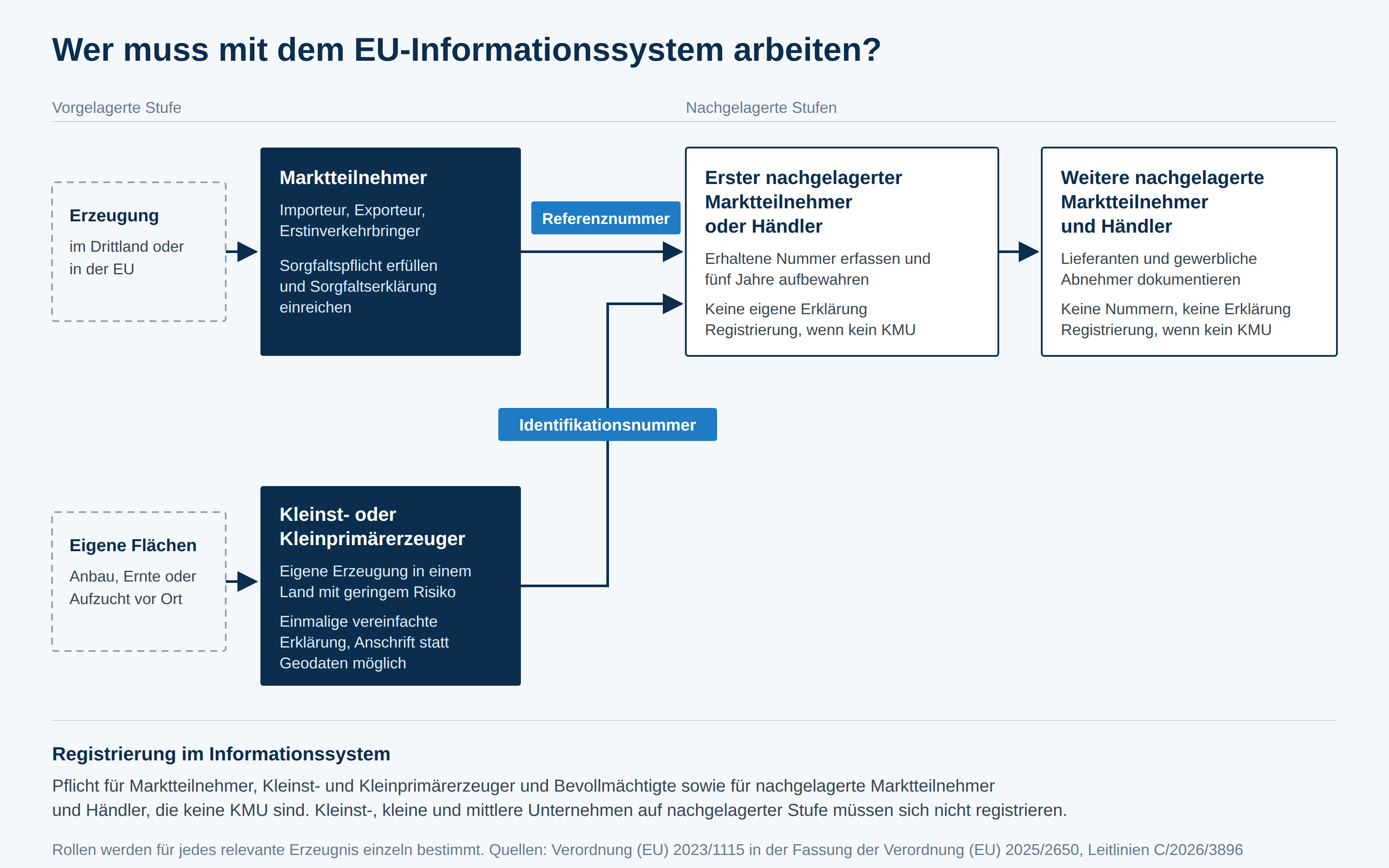 Grafik der EUDR-Rollen in der Lieferkette: Marktteilnehmer reichen die Sorgfaltserklärung ein, Kleinst- oder Kleinprimärerzeuger geben eine vereinfachte Erklärung ab, nachgelagerte Marktteilnehmer und Händler erfassen die Nummern