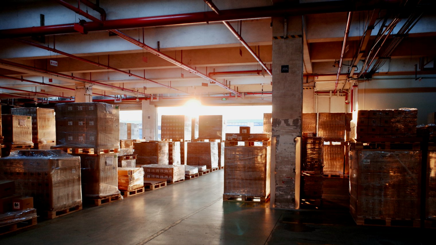 Warehouse with pallets carrying packed goods